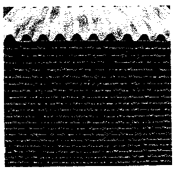 Exhaust purification cellular catalyst for enamelling machine and method of producing the same