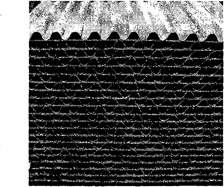 Exhaust purification cellular catalyst for enamelling machine and method of producing the same