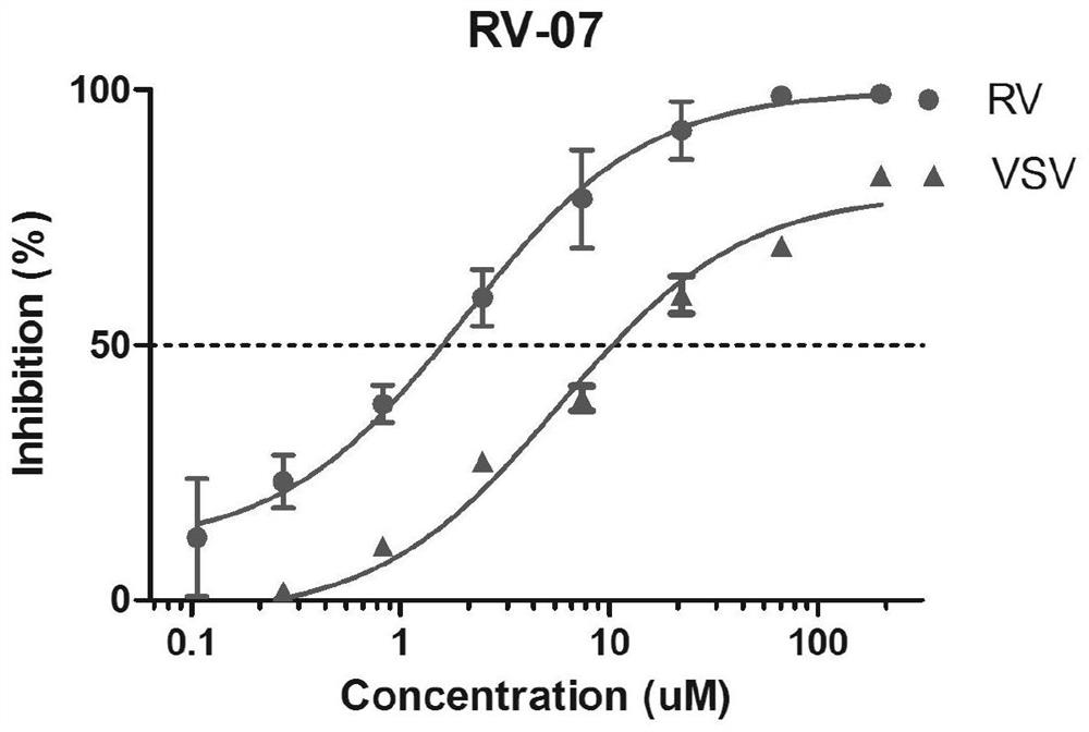 Use of iminophenazine compounds as rabies virus inhibitors