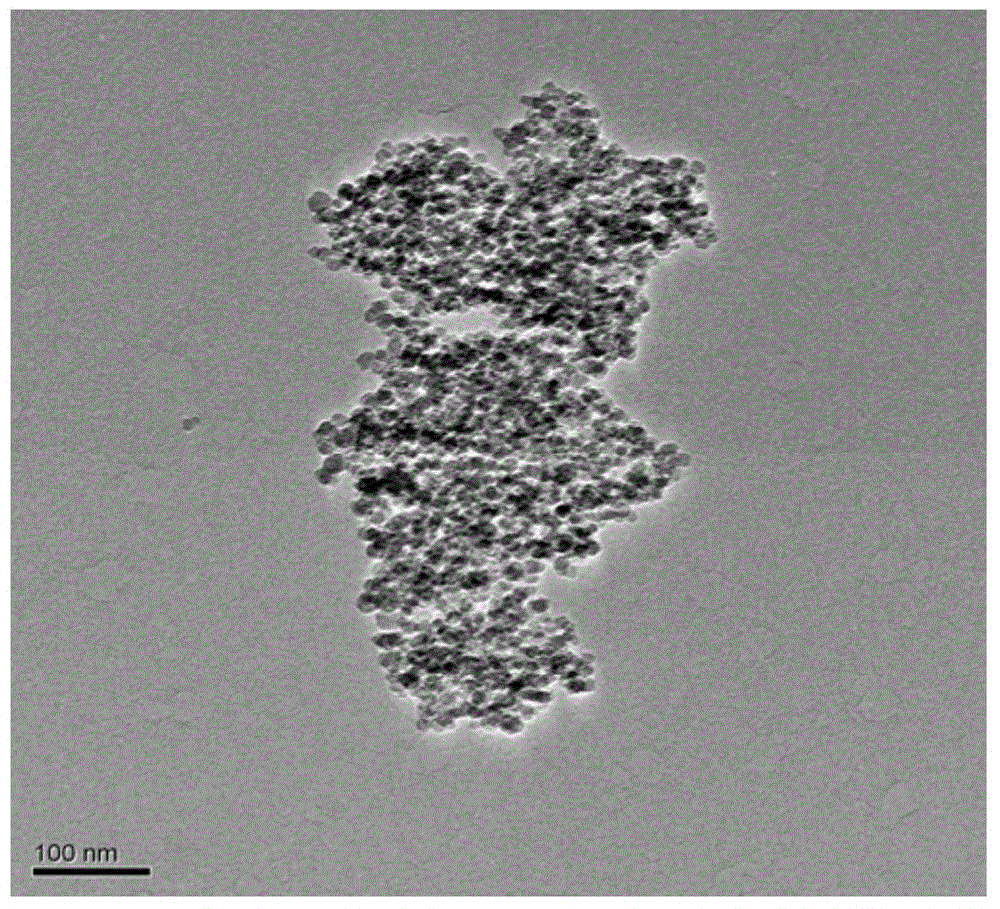 Organic network preparation method of ferrozirconium red zirconia nano-composite ceramic powder