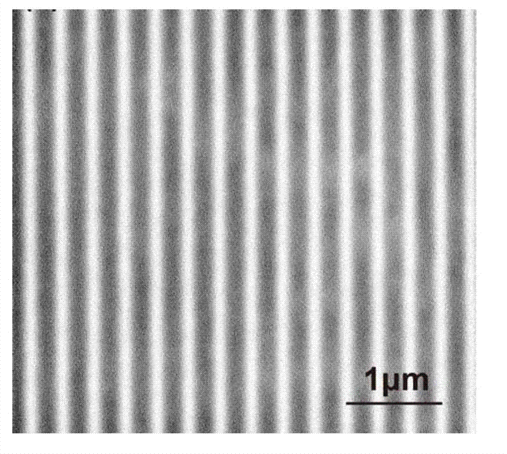 Production method of metal micro-nano structure based on laser interference induced cross-linking reaction