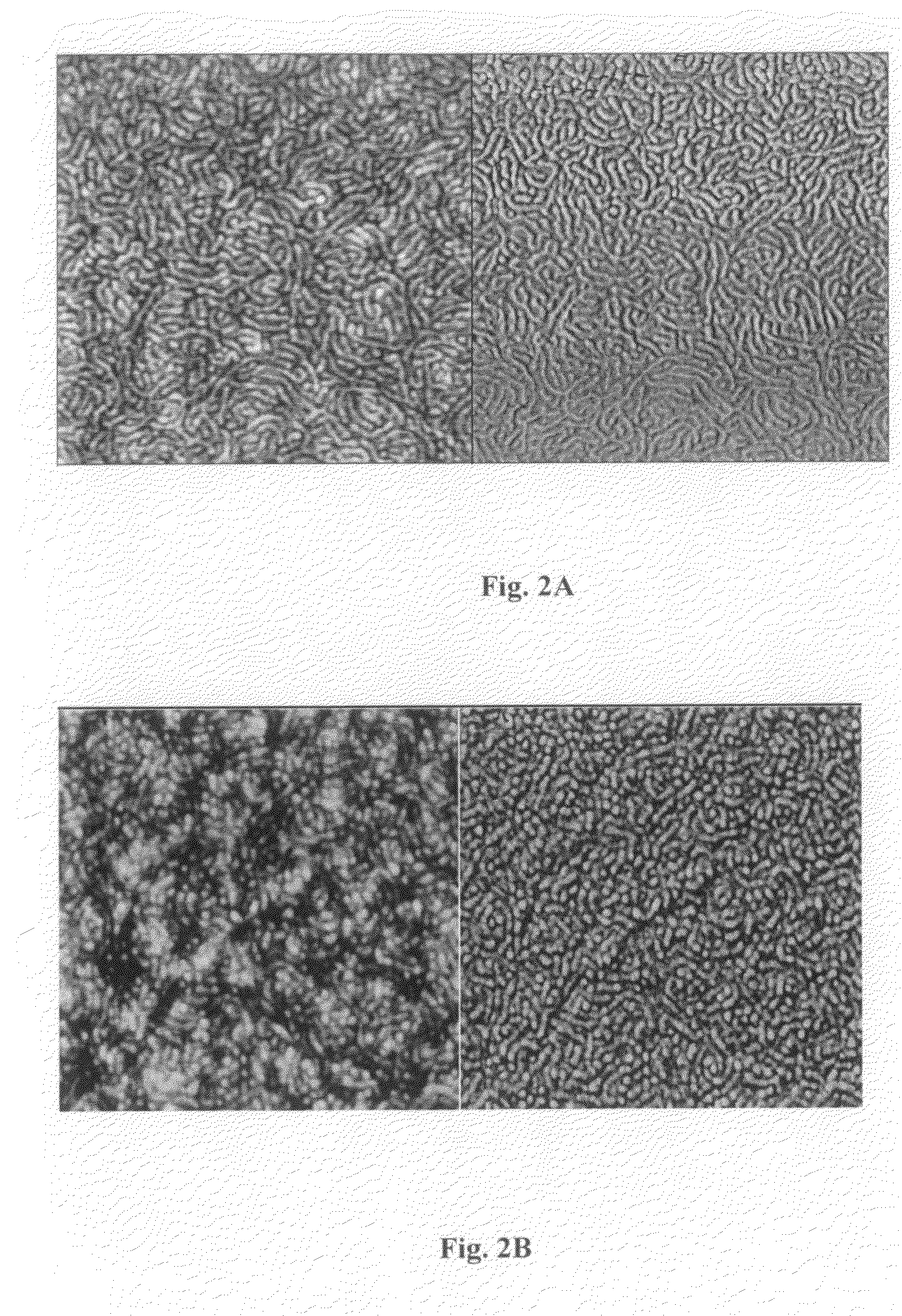 Ferromagnetic block polymers and related methods