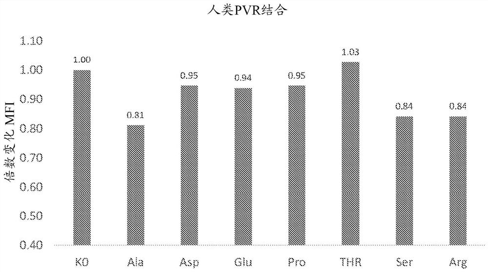 Antibodies against poliovirus receptor (PVR) and uses thereof