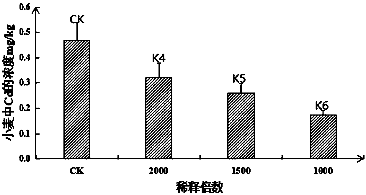 Novel foliage fertilizer