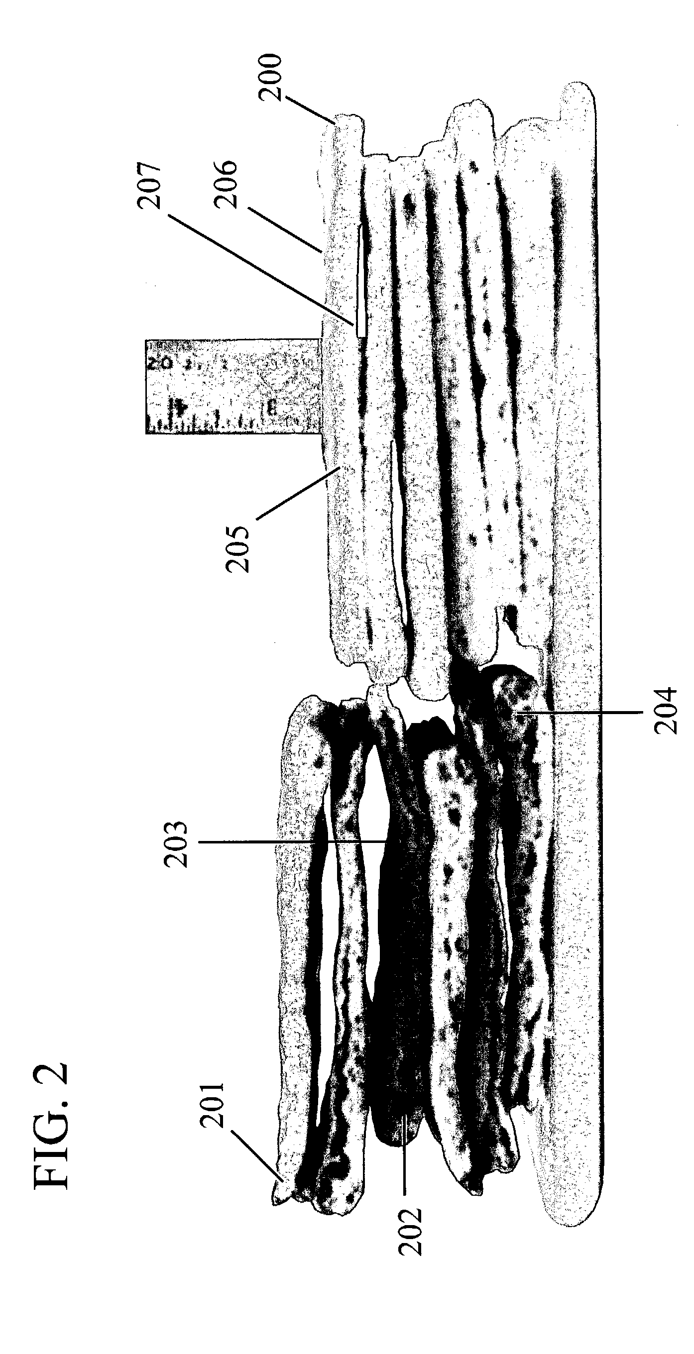 Pizza and crust having a square aspect and an irregular edge