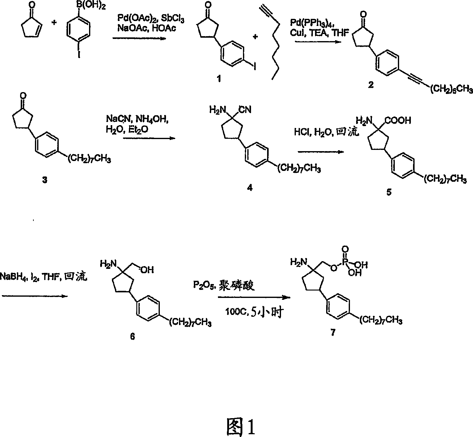 Sphingosine 1-phosphate agonists comprising cycloalkanes and 5-membered heterocycles substitued by amino and phenyl groups