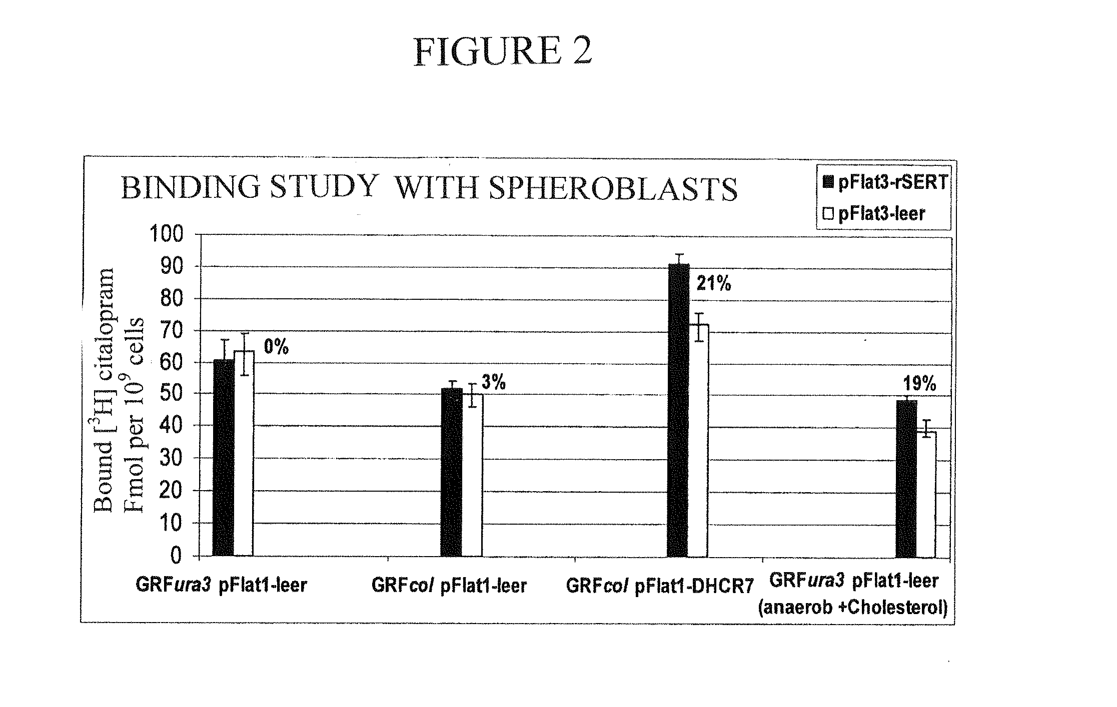 Microorganism for expressing a human membrane protein