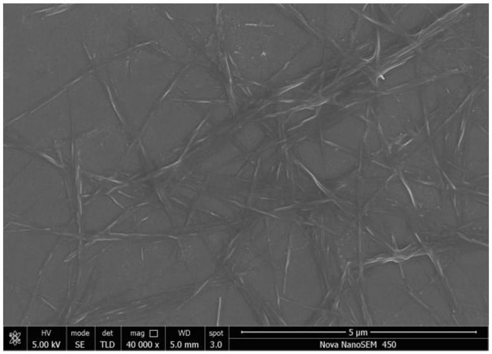 Preparation method of sea squirt nanocellulose-based heavy metal adsorbent