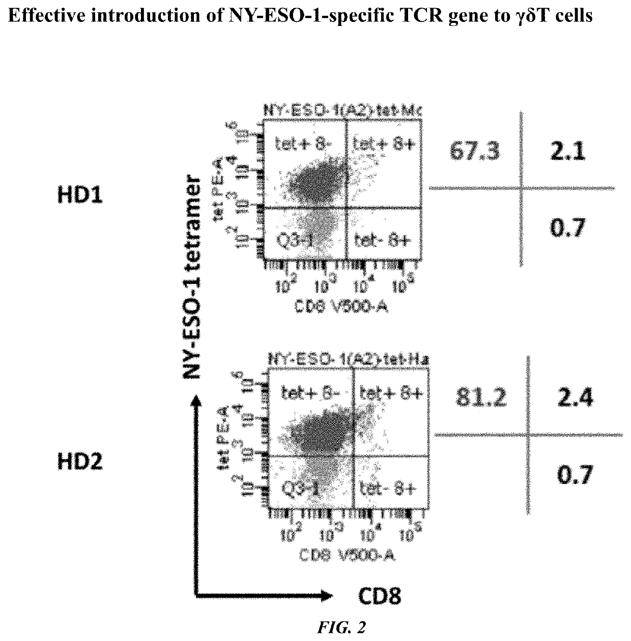 Method for gene transfer into gamma-delta type t cell