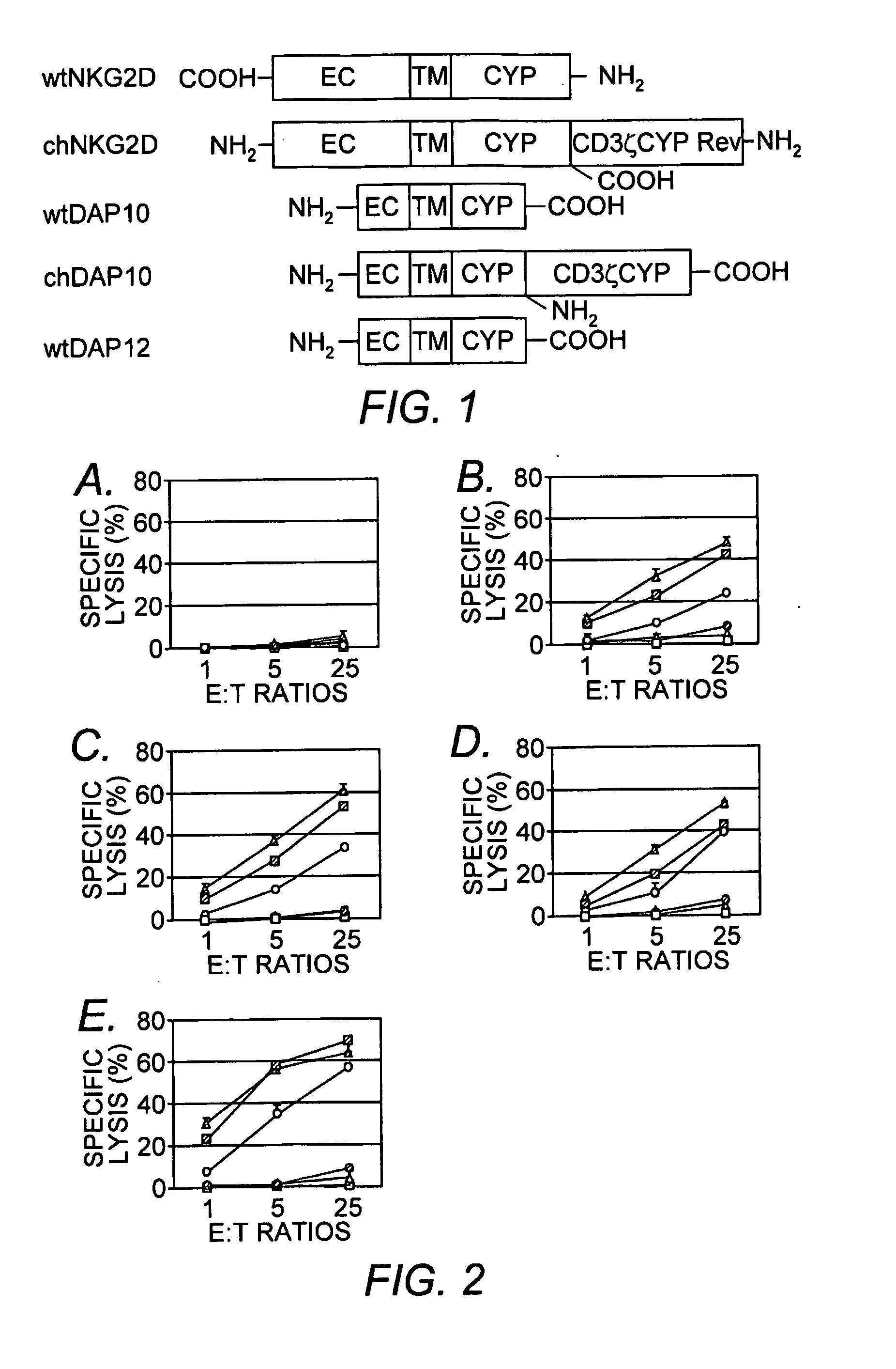 Chimeric NK Receptor and Methods for Treating Cancer