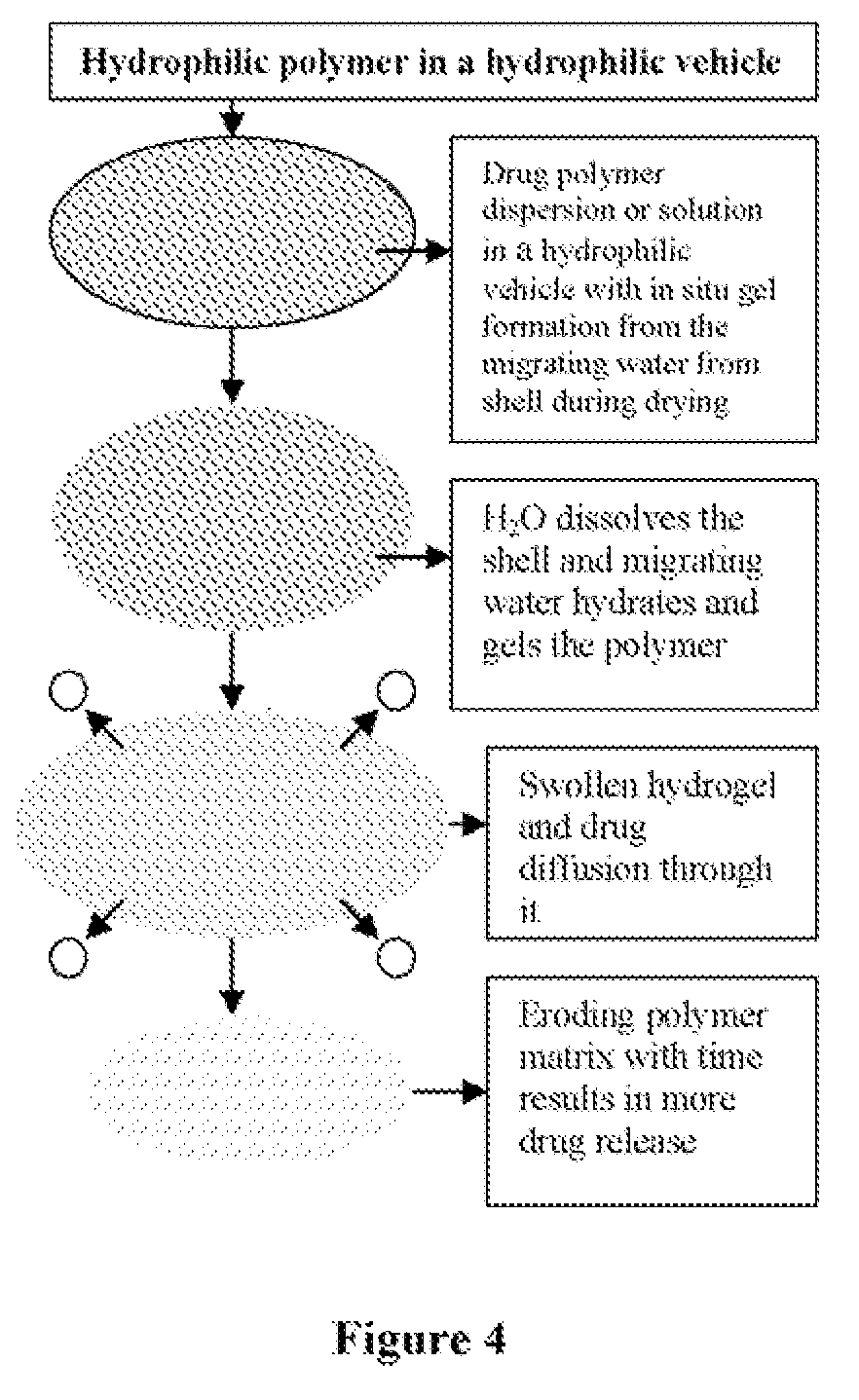 Hydrophilic vehicle-based dual controlled release matrix system