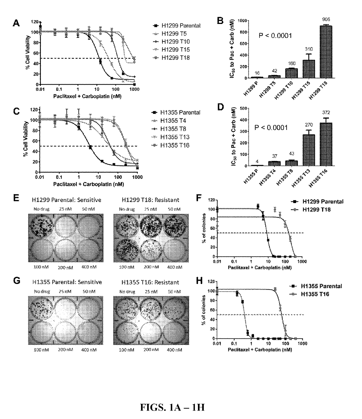 Use of jumonji c demethylase inhibitors for the treatment and prevention of chemotherapy resistance and radioresistance in cancer