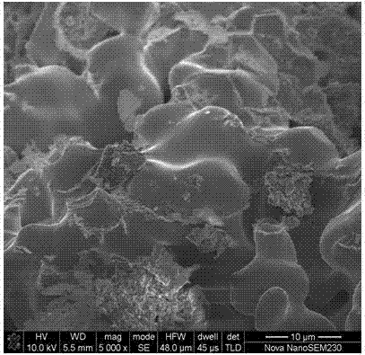 The Method of Improving the Properties of Manganese Copper Damping Sintered Alloy Using Ferrous Oxalate