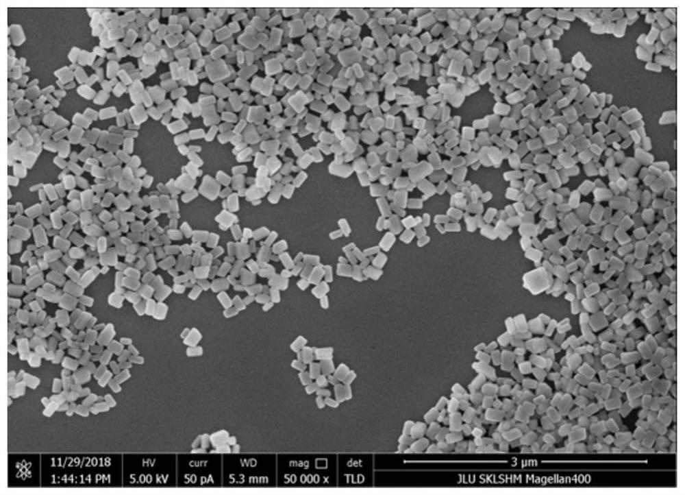 A kind of preparation method of one-dimensional perovskite micro-nanocrystal