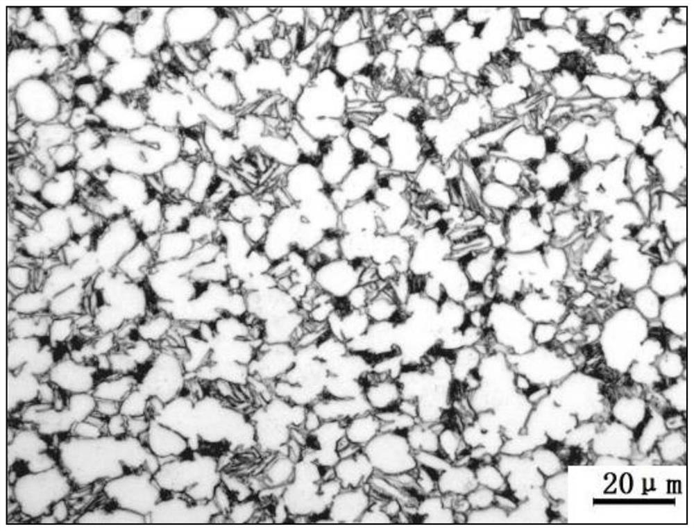 Preparation method of TC6 titanium alloy large-sized bar