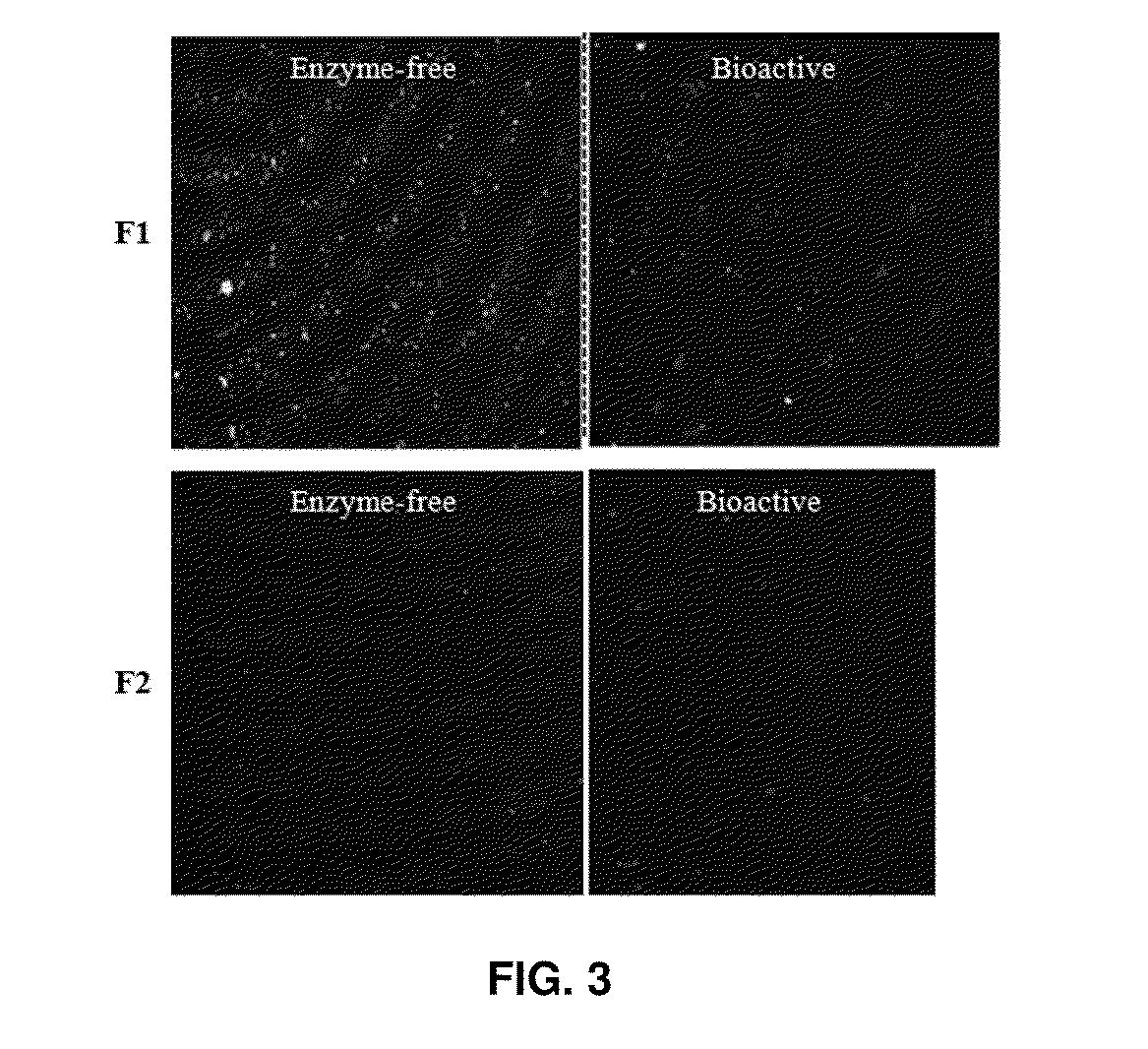 Lipase-containing polymeric coatings for the facilitated removal of fingerprints