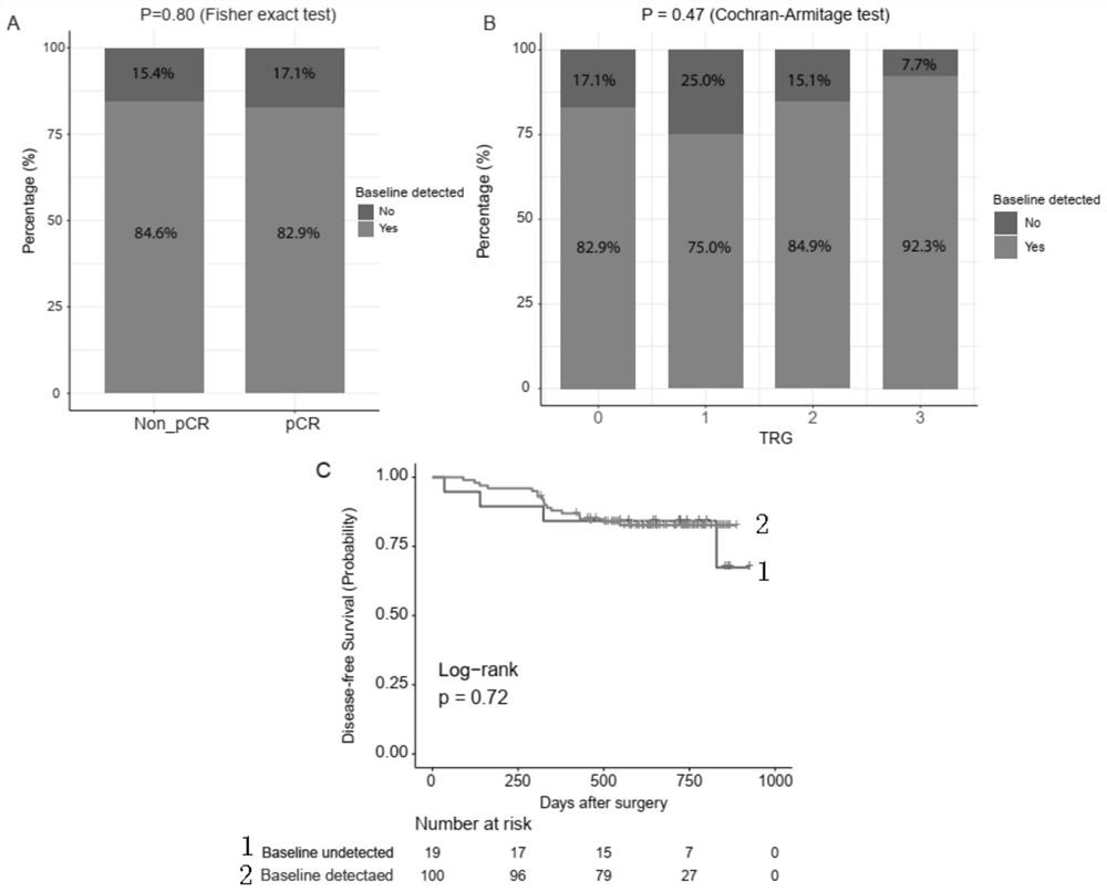 Molecular marker related to rectal cancer and application thereof