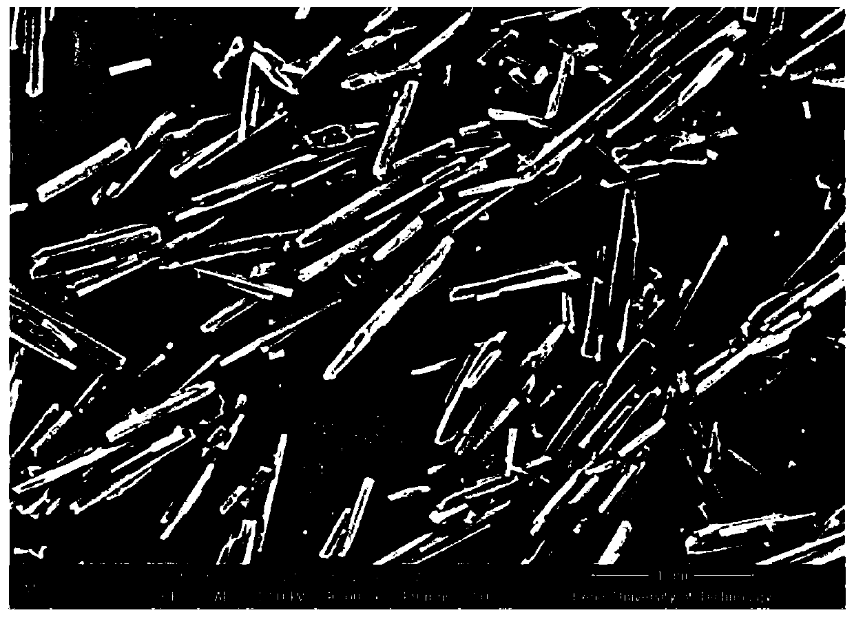 Preparation method of acid-base double-layer core-shell nanotube/SPEEK composite proton exchange membrane