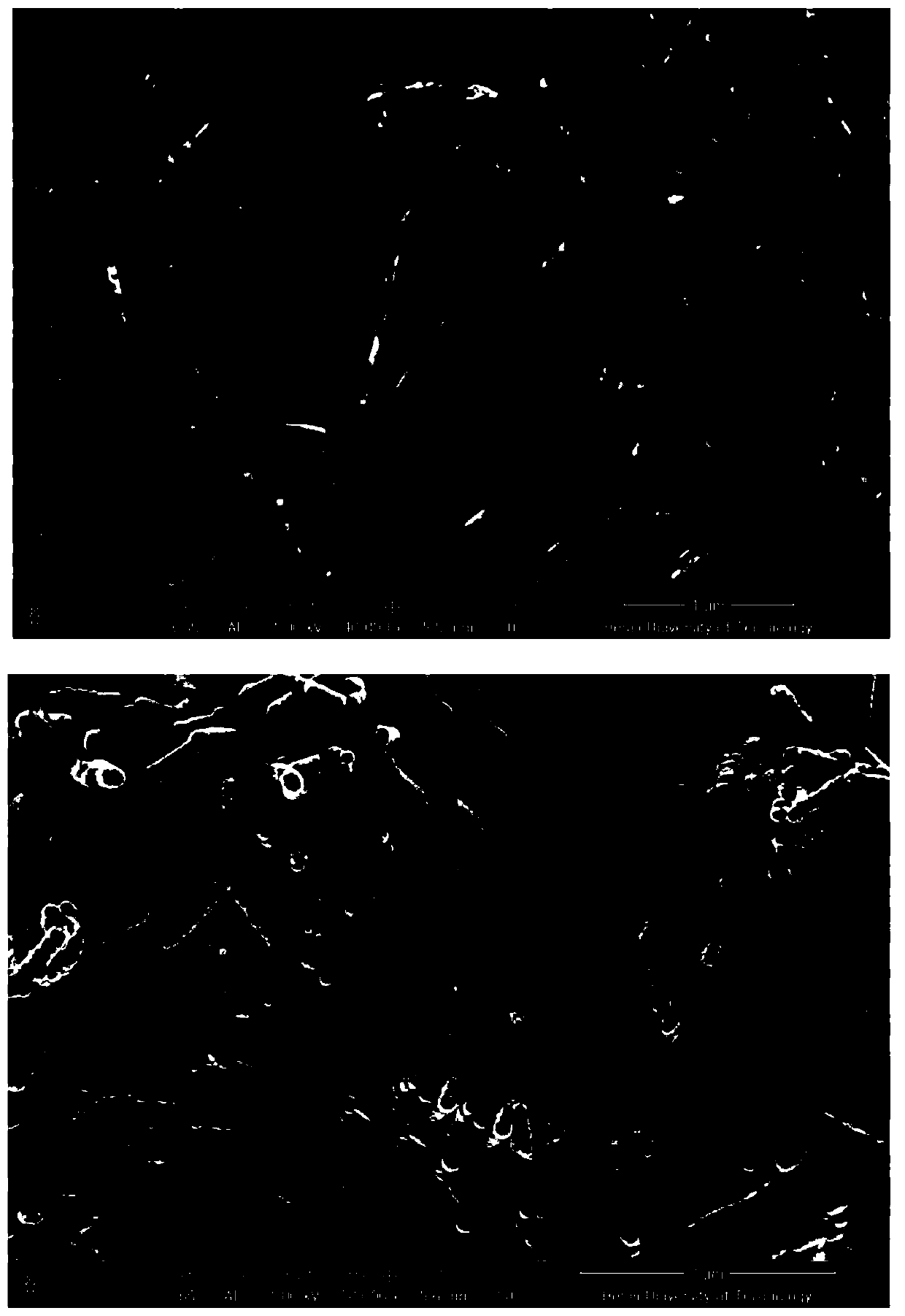 Preparation method of acid-base double-layer core-shell nanotube/SPEEK composite proton exchange membrane