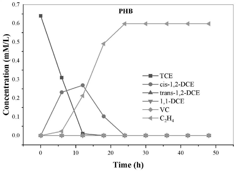 Method for precisely and completely dechlorinating chlorinated hydrocarbon based on slow-release carbon source coupled bioelectrochemical system