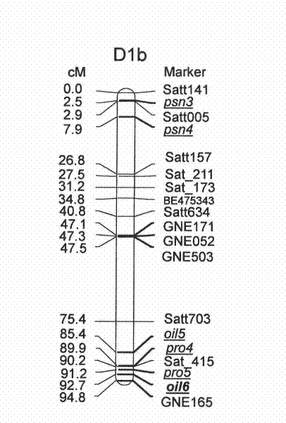 A pair of special primers for assisted evaluation of oil content locus of soybean kernel and method thereof