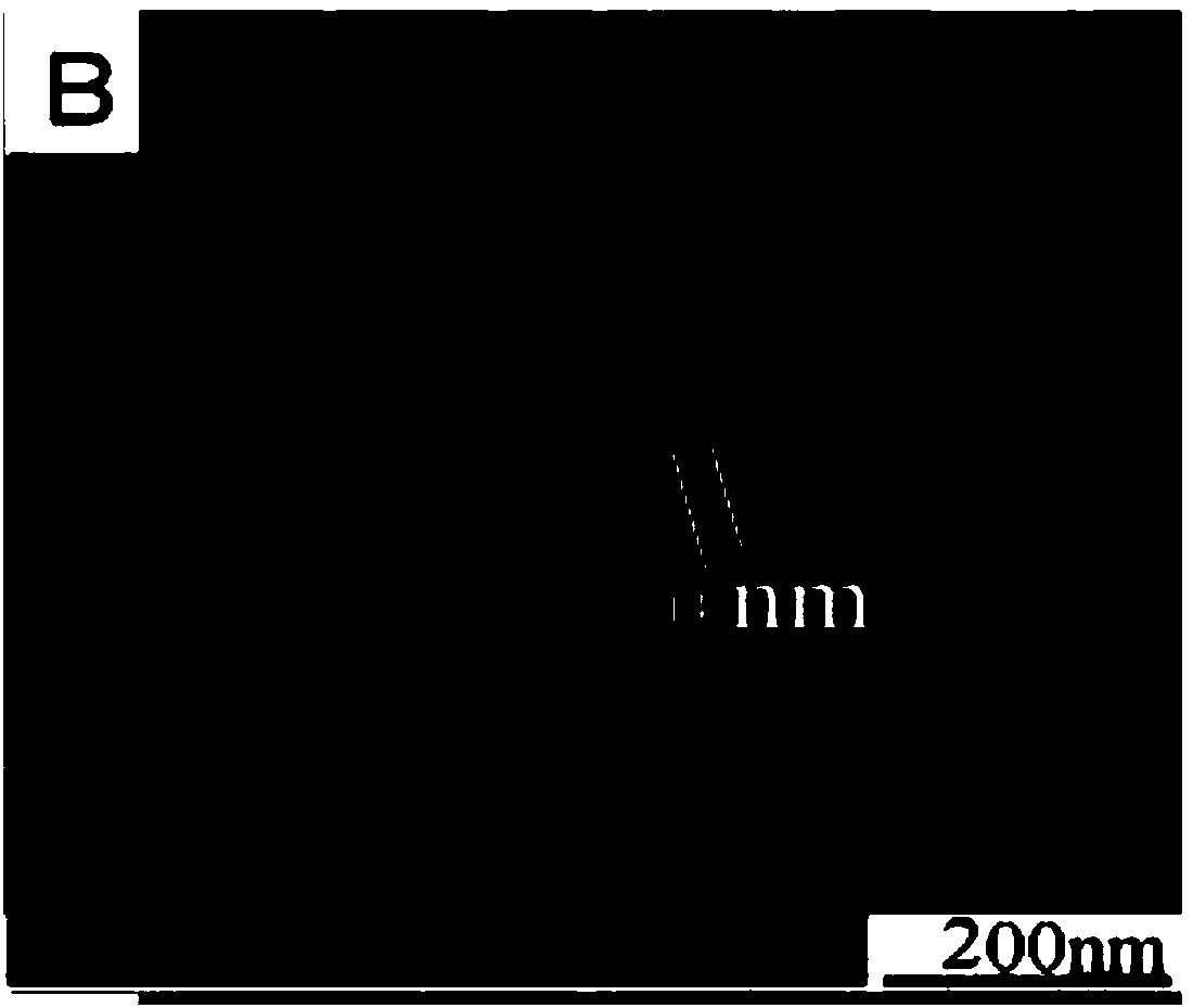 Preparing method for nano metal particle array structures