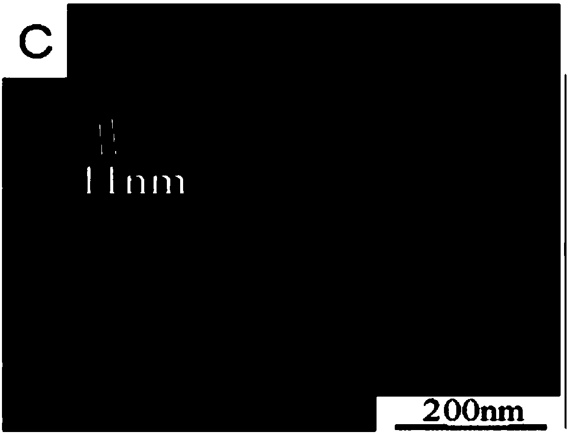 Preparing method for nano metal particle array structures