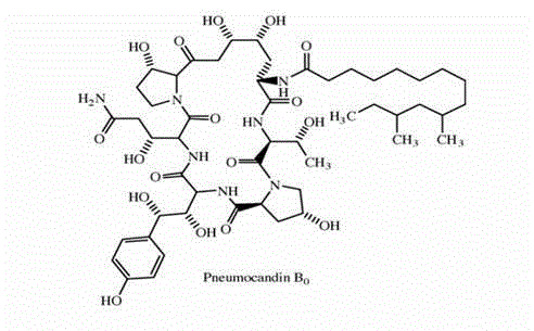 Method for purifying caspofungin precursor pneumocandin B0 component