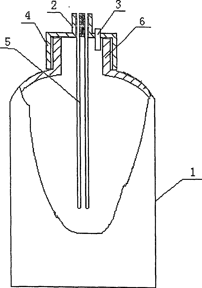 Water purifying bottle and water purifying method