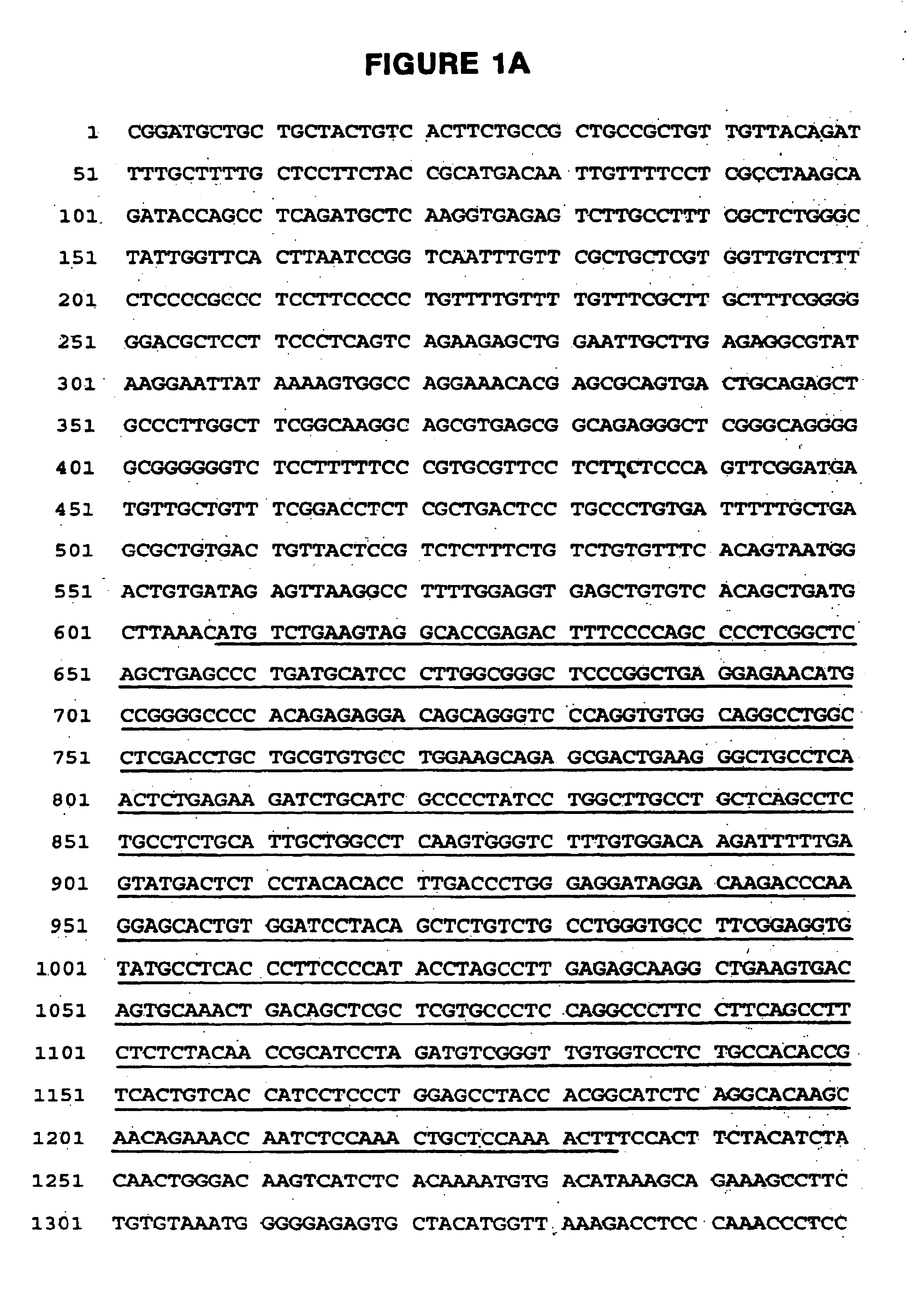 A-form of cytoplasmic domain of nARIA (CRD-neuregulin) and uses thereof