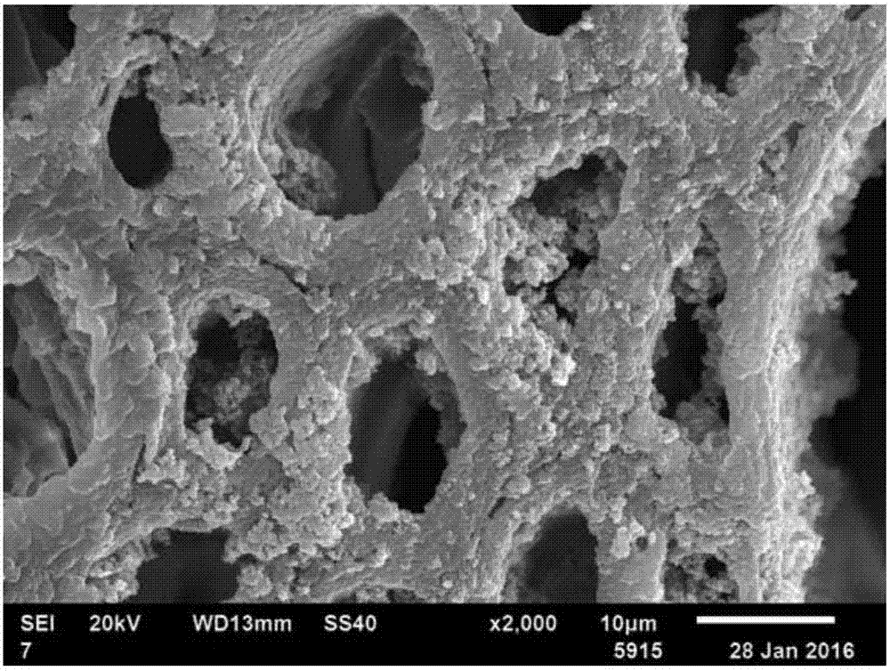 Preparation method of superhydrophobic, oleophobic, bactericidal, flame-retardant and weather-resistant magnetic functional wood