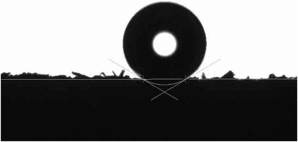 Preparation method of superhydrophobic, oleophobic, bactericidal, flame-retardant and weather-resistant magnetic functional wood