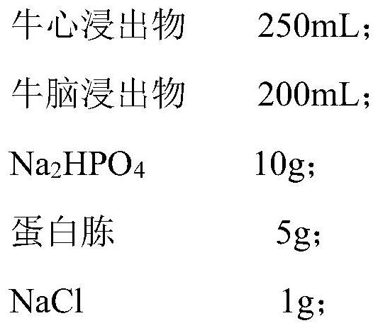 Culture medium for helicobacter pylori as well as preparation method and application of culture medium