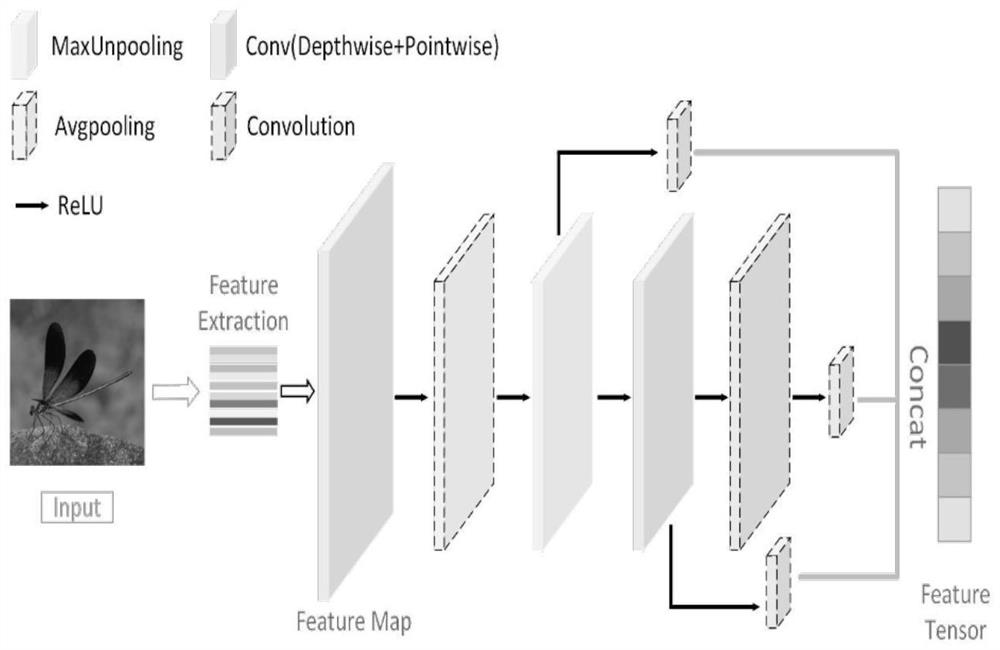 Recognition Method of Odonata Insects Based on Region Proposal Network