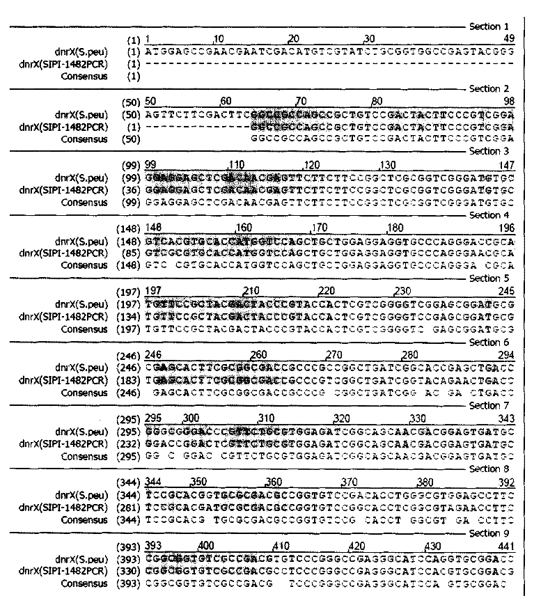 Anthracene nucleus antibiotic producing strain dnrX gene fragment, gene breaking engineering bacterium prepared from the same and application thereof