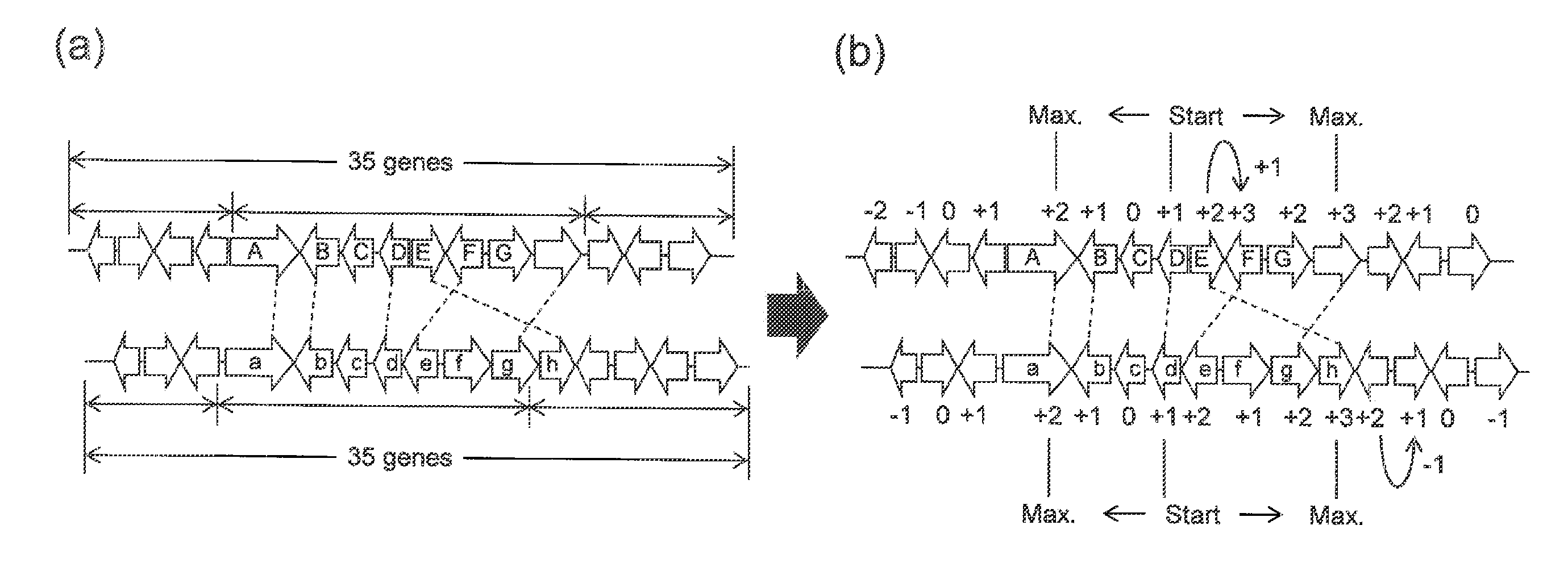 Method for predicting gene cluster including secondary metabolism-related genes, prediction program, and prediction device