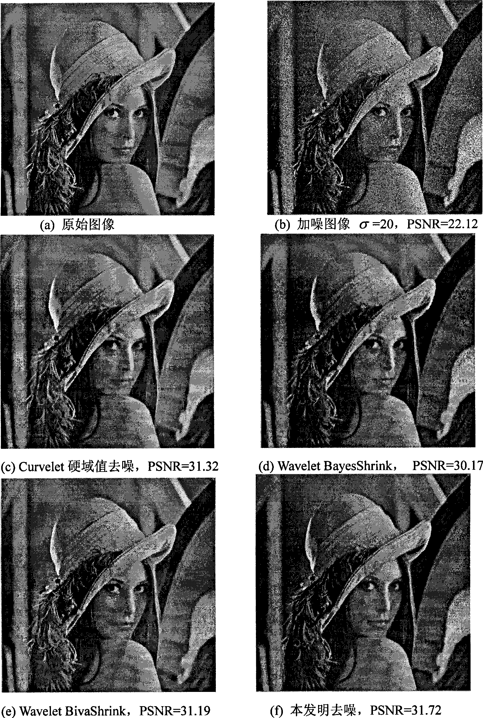 Lunette local Wiener filtering method based on second generation Curvelet transformation