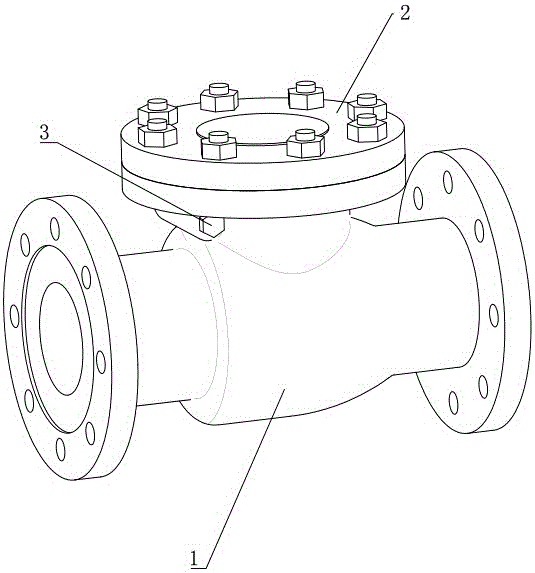 Check valve