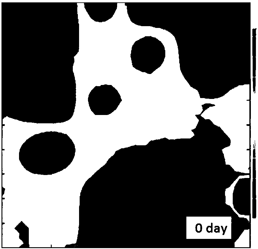 Electrokinetic remediation visual system for organically polluted soil