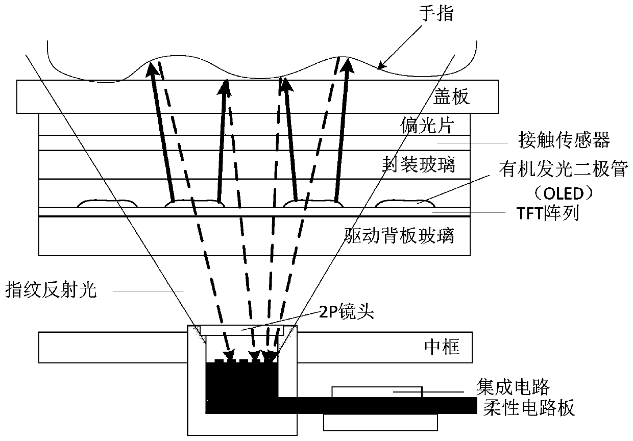 Display screen and electronic equipment