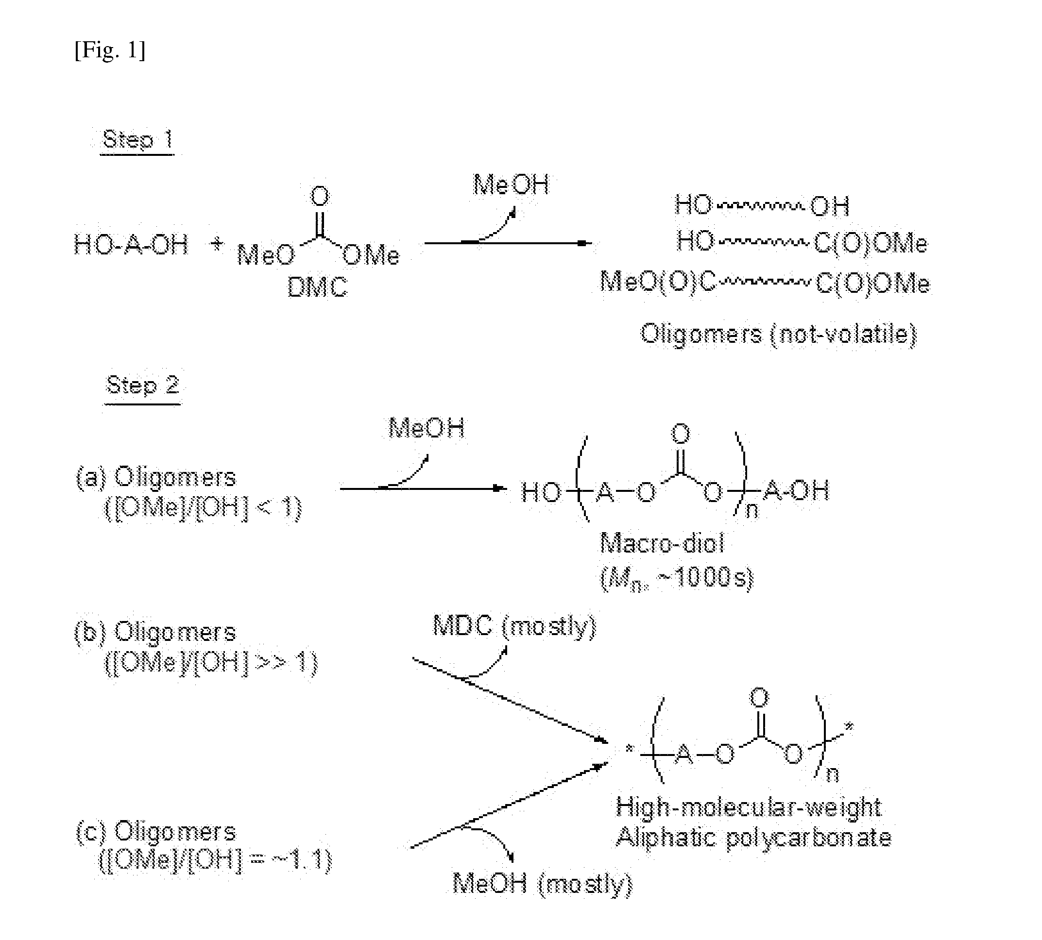 Aliphatic polycarbonate with long-chain branches and aromatic copolyester thereof