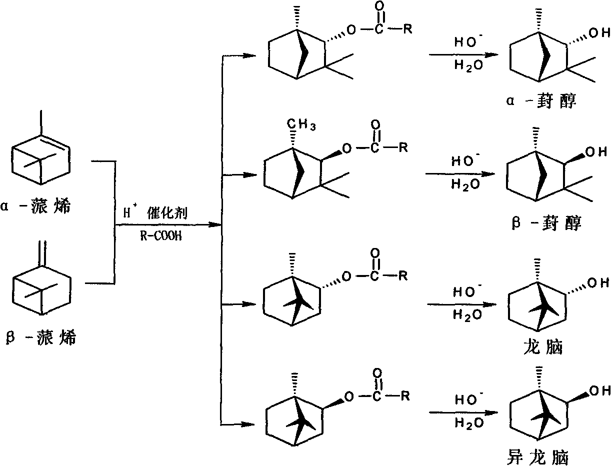 One-step method for synthesizing fenchol with turpentine