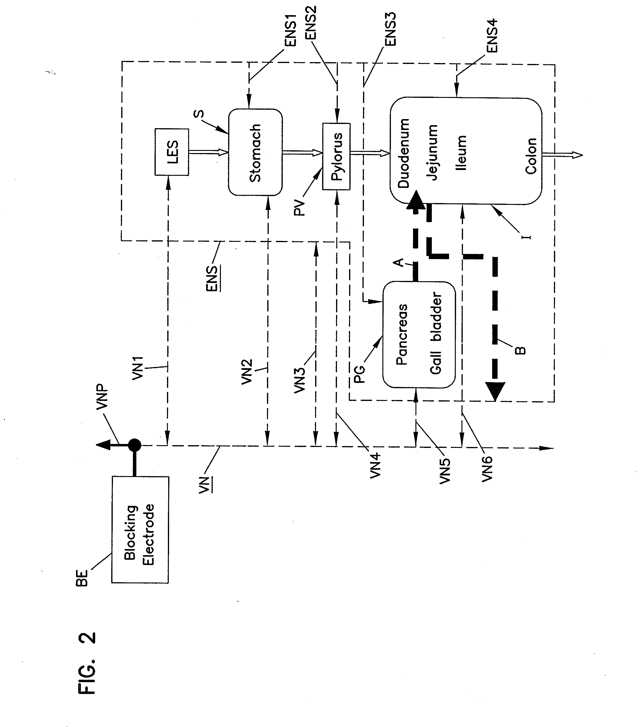 Methods and systems for glucose regulation