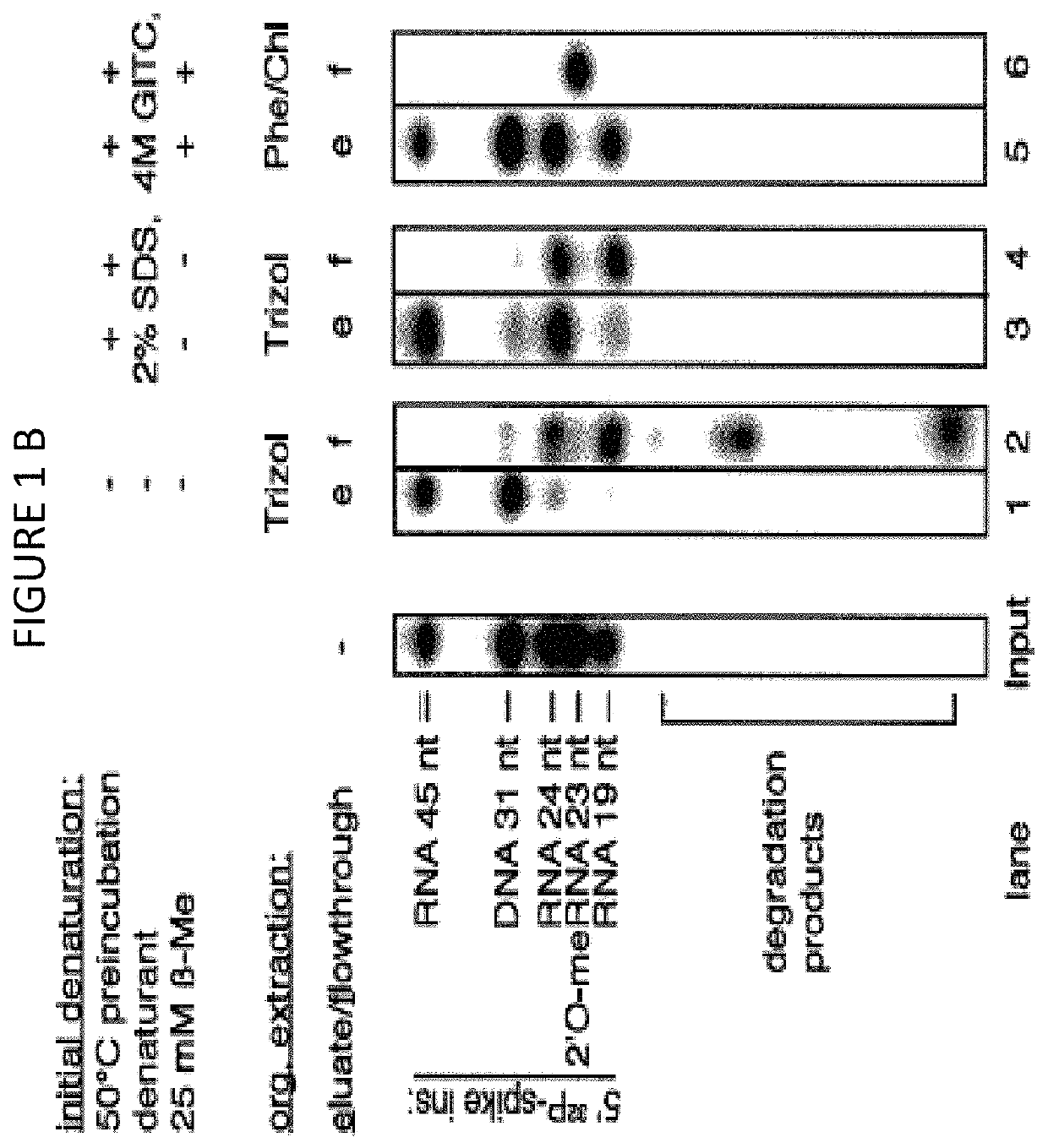 Method of RNA isolation from clinical samples