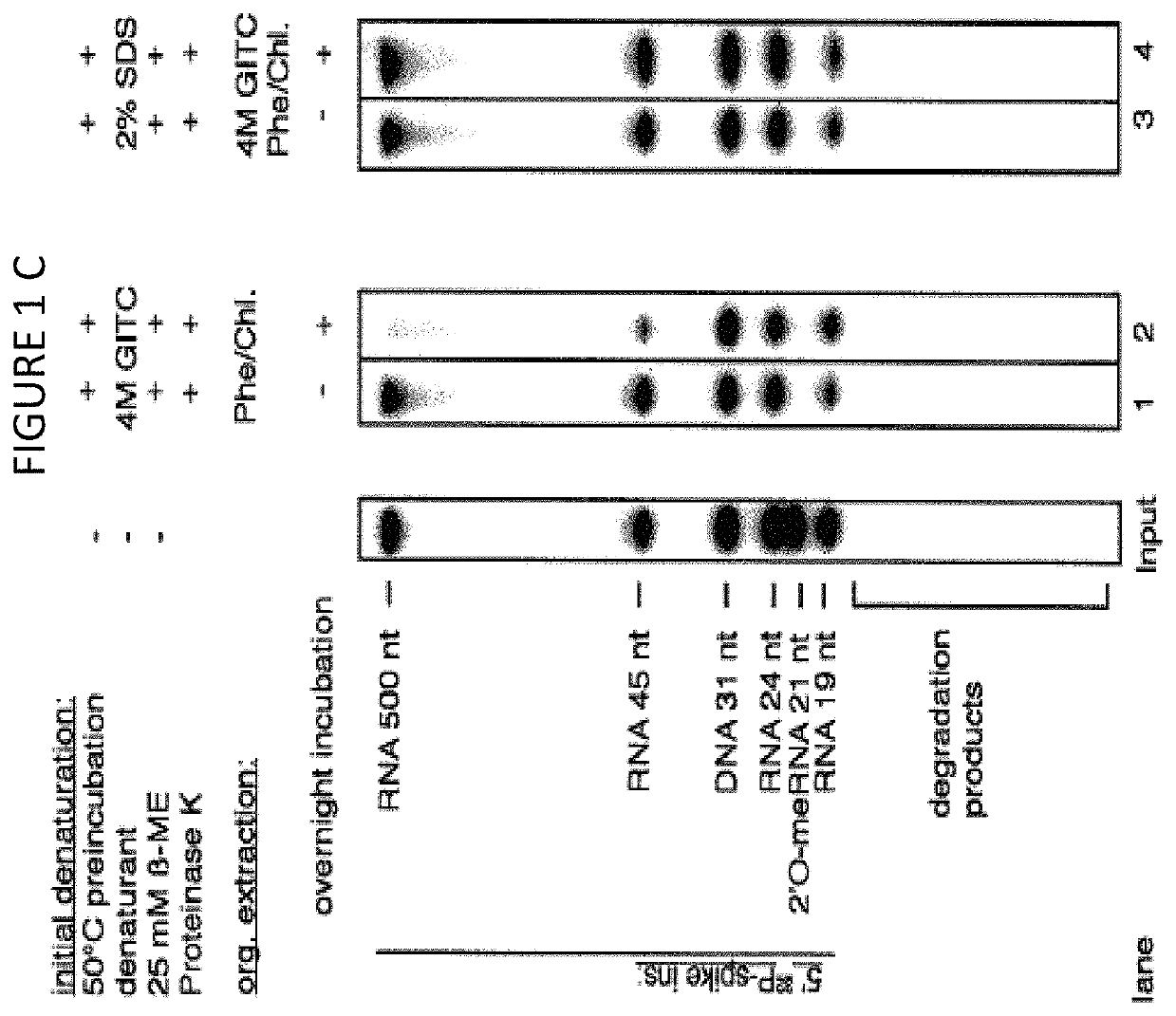 Method of RNA isolation from clinical samples