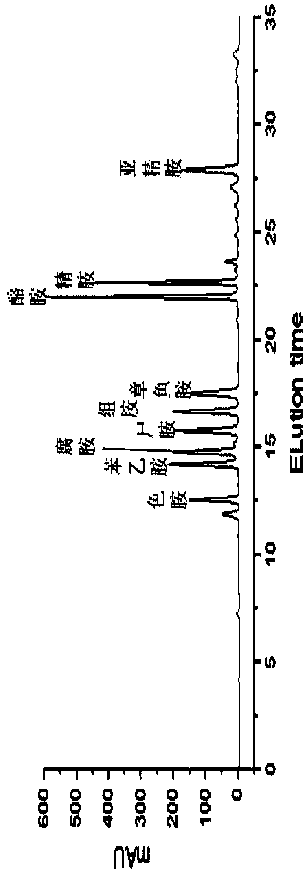Application of pichia kudriavzevii in aspect of degrading biogenic amines