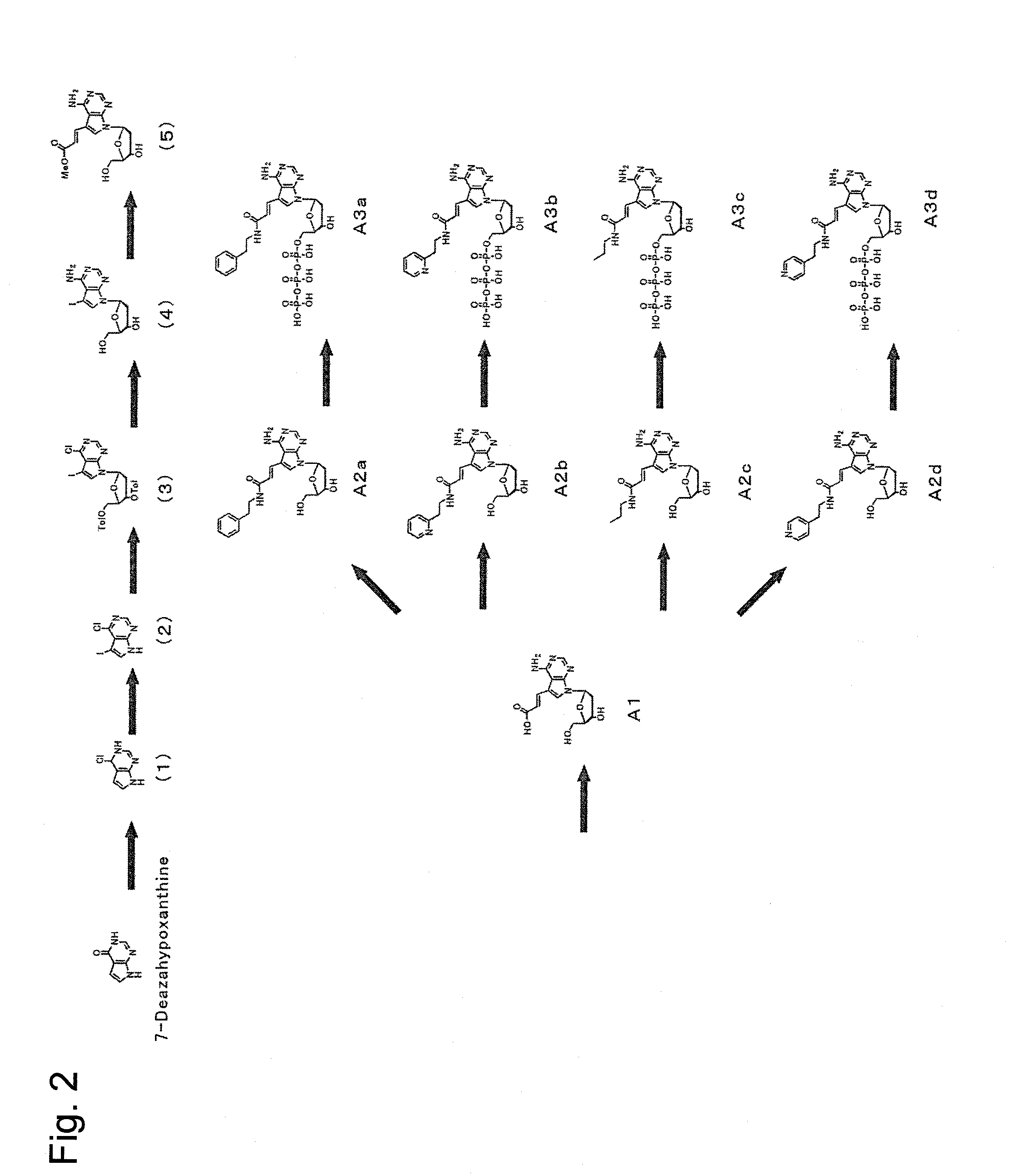 Method and reagent for gene sequence analysis