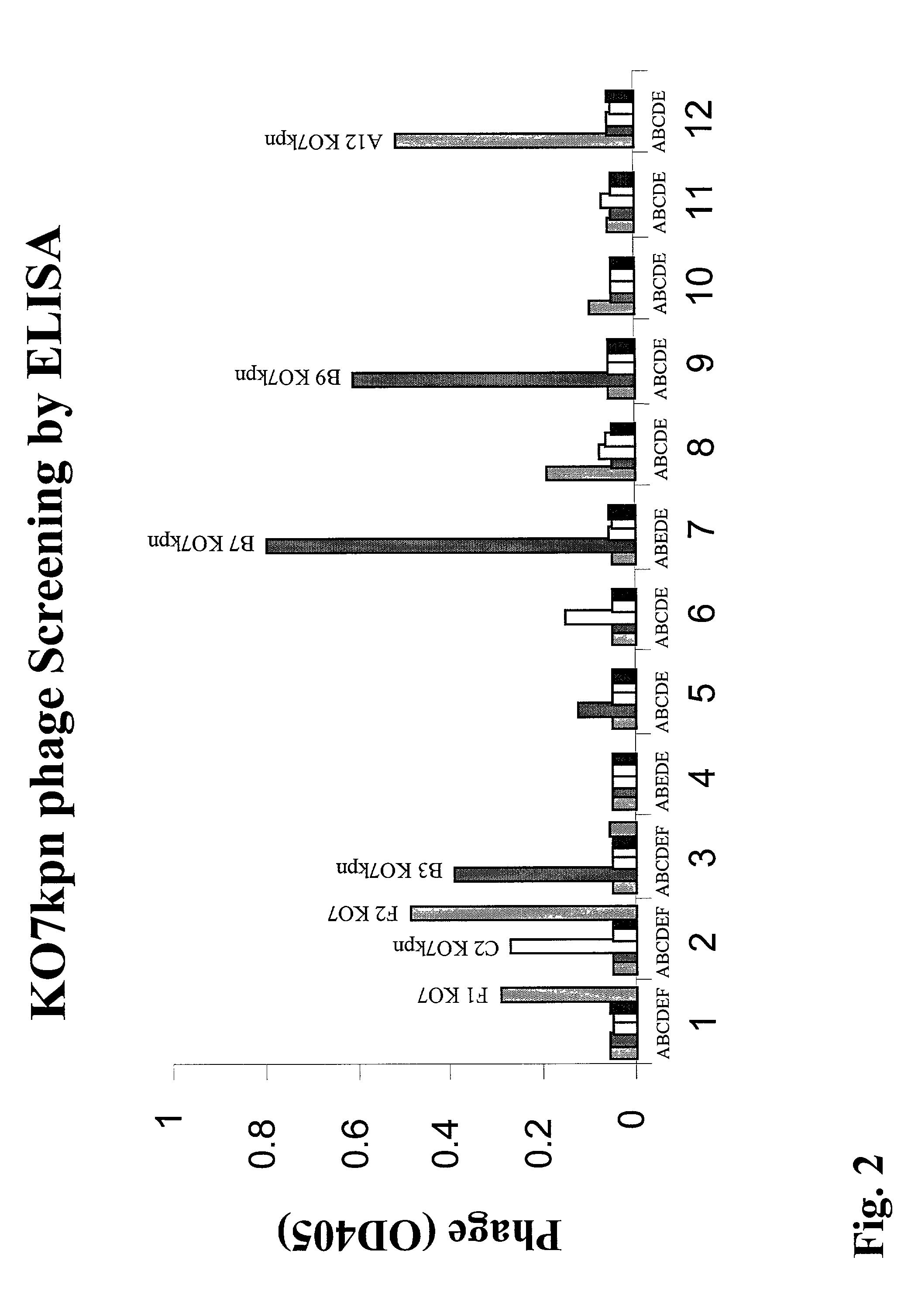 Adapter-directed display systems