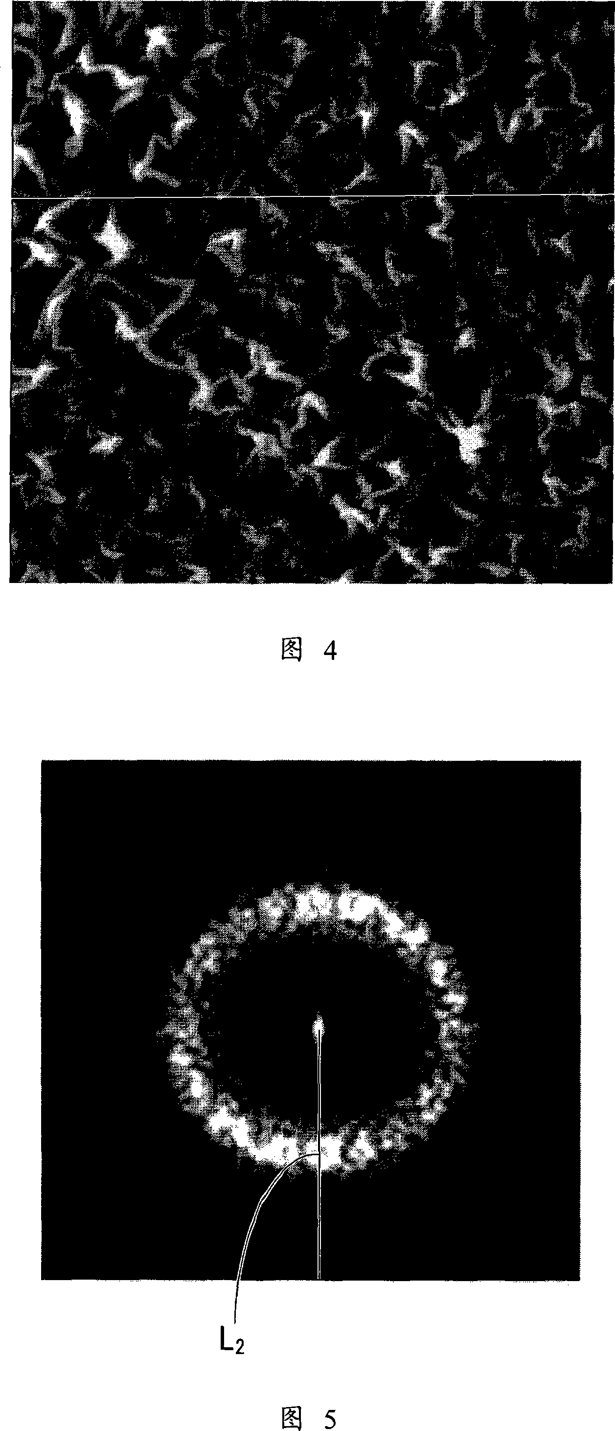 Corrugated pattern forming sheet and method for manufacturing the same, and method for manufacturing antireflector, retardation plate, original process sheet plate, and optical element