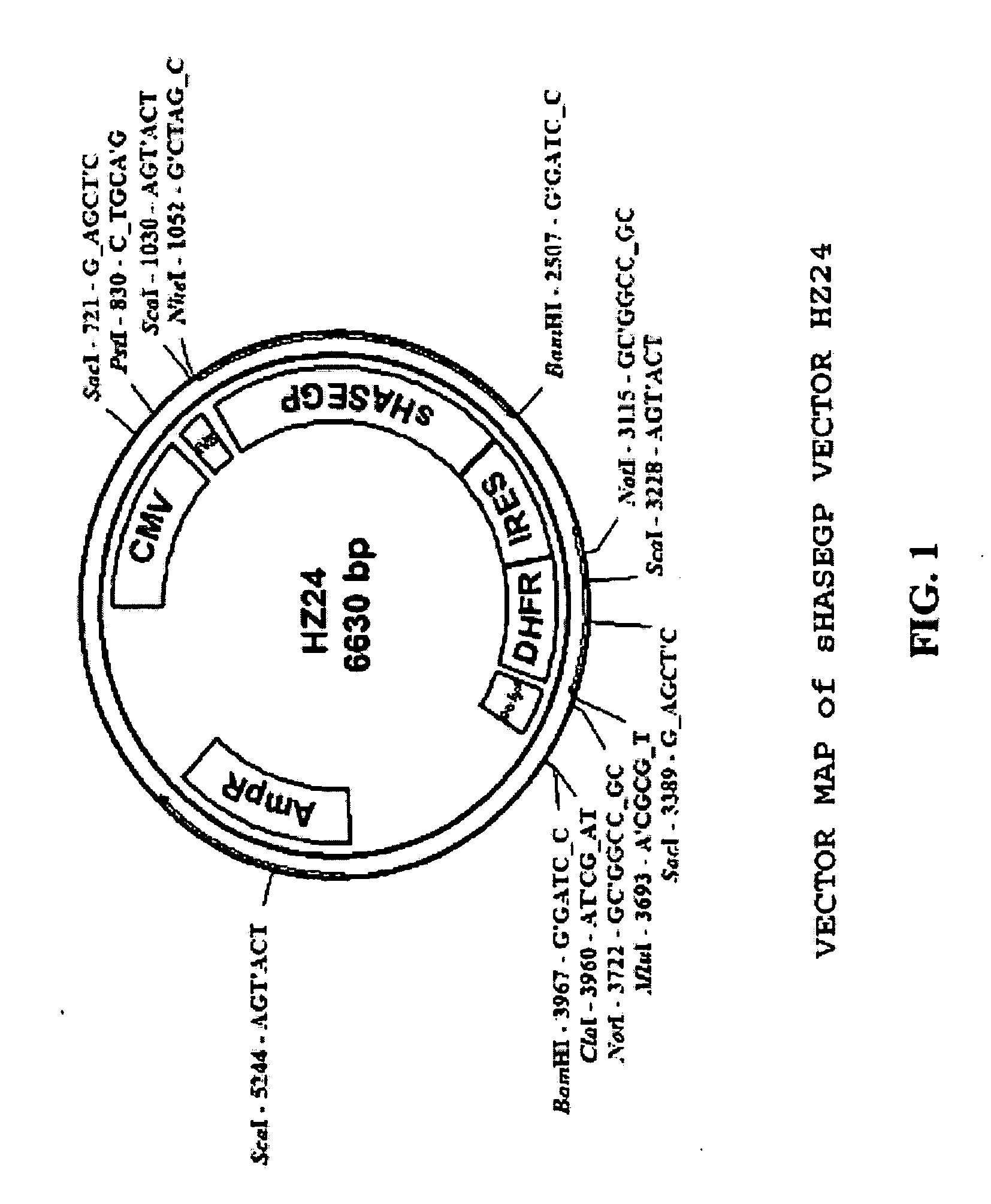 Soluble glycosaminoglycanases and methods of preparing and using soluble glycosaminoglycanases